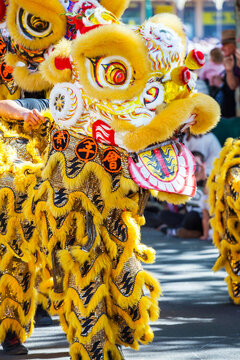 A Chinese Dragon in a parade