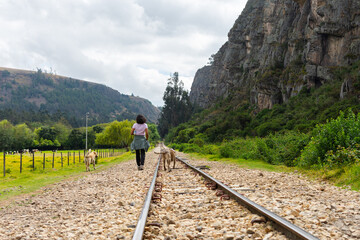 Unrecognizable woman walking with two dogs, along a railway with a rock wall in the background