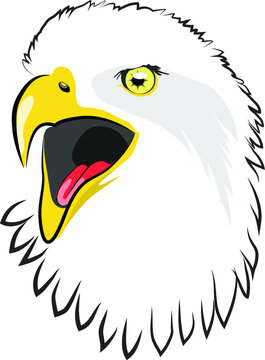 Color image of an eagle head with an open beak vector illustration