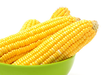corn on the cob isolated