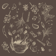 herbs and spices rustic sketch