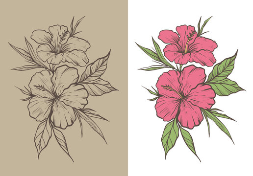 Hibiscus Flower Drawing by greissdesign on DeviantArt-saigonsouth.com.vn