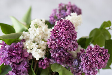 Lilac bouquet close up.