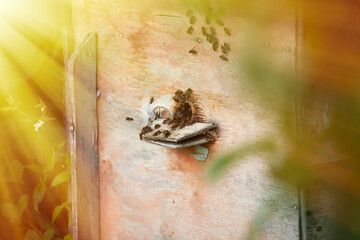 Fototapete bei efototapeten.de bestellen   