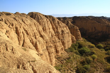 The relief ribbed high wall of the Lunar Canyon in Altyn-Emel in the sunlight at sunset, at the foot of the wall there are green bushes, in the distance the peaks of the mountain range, summer, sunny