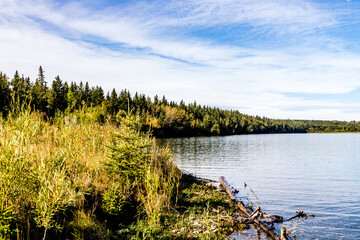 Along the shore line of the lake. Gleniffer Lake Provincial Recreation Area, Alberta, Canada