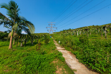 Fototapety na wymiar - Fototapeta24.pl