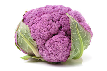 Purple cauliflower on white background