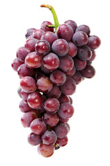 Fototapeta premium bunch of grapes