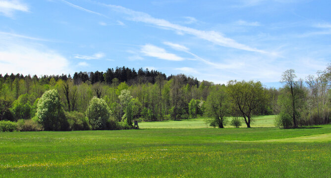 Sch&ouml;nes Glonn