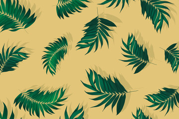 Palm leaves pattern background