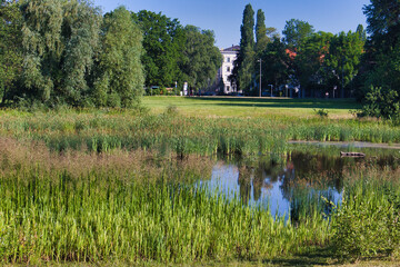 Blick auf den kleinen Teich im Rosental, Park mit Zooschaufenster in Leipzig, Sachsen, Deutschland