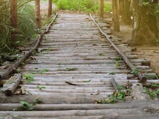 The pedestrian walkway is made of bamboo trunks lined up.