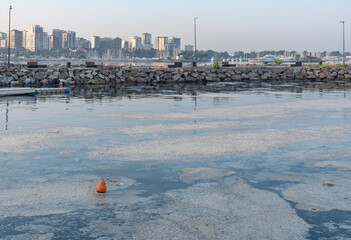 mucilage on the sea surface, kadikoy, moda, istanbul, environmental disaster, kurbaglidere,