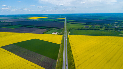 Aerial view of the rapeseed field