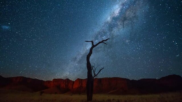 Lockdown Time Lapse Shot Of Bare Tree Against Star Field At Desert - Namib Desert, Namibia