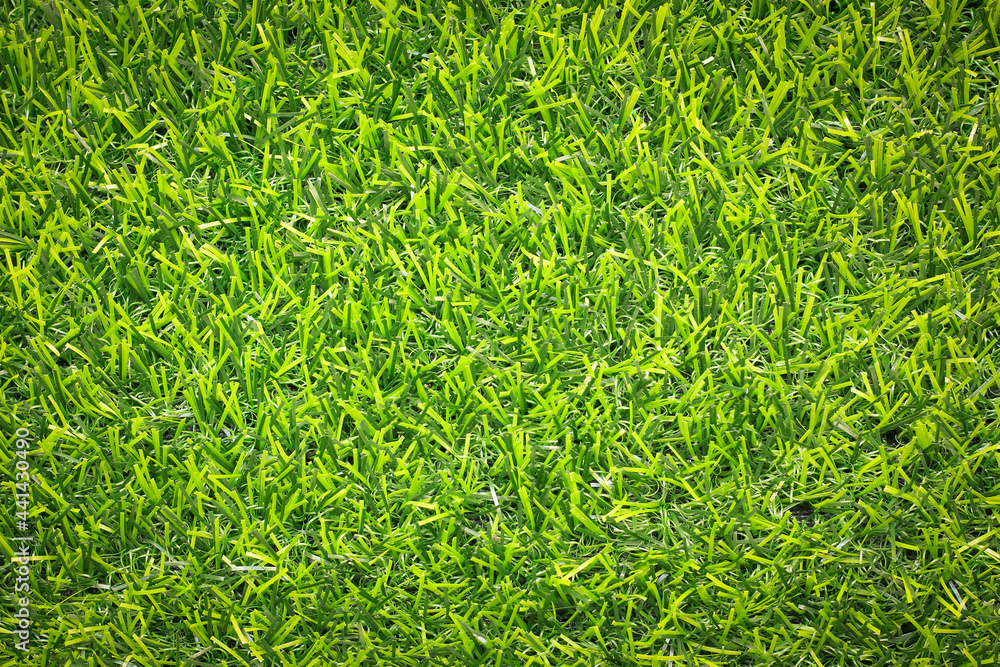 Canvas Prints top view green grass texture for background