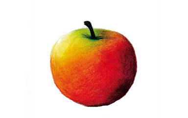 Red fruit apple pencil drawing white background