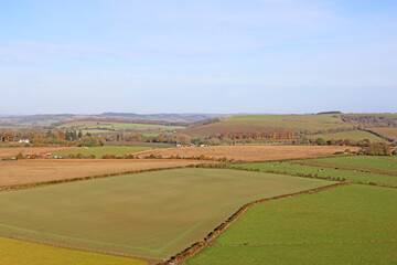 Fields at Monks Down in Wiltshire	