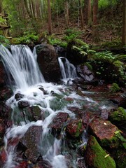 waterfall in the forest