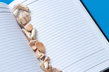 Open notebook, diary or planner with marine fossils and shells and blank pages in a line on the...