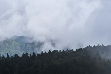 Forest and mountains in fog in cloudy weather. Cloud envelops dense coniferous deciduous forest. Beautiful atmospheric mystical landscape in National Park of Russia.