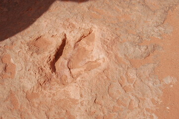 Dinosaur tracks found off Highway 160, outside Tuba City, Coconino County, northern Arizona.