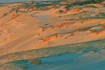 Landscape at sunset of Grand Sable Dunes, Pictured Rocks National Lakeshore, Lake Superior, Michigan's Upper Peninsula, USA