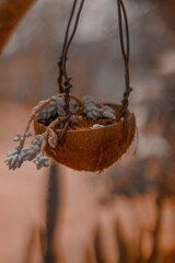 nature is the purest artist