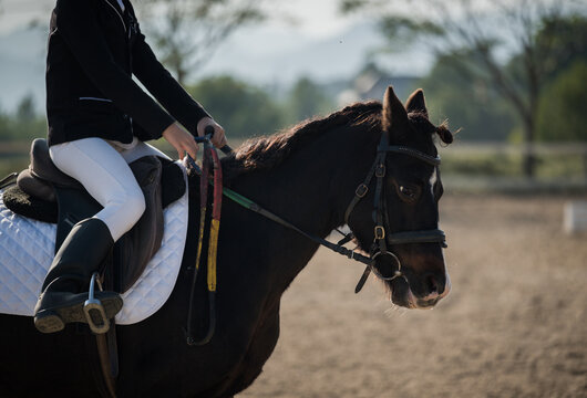 Anonymous female equestrian riding chestnut horse in paddock
