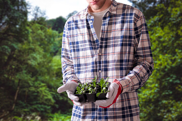 gardener holding a seedling tray to plant some sprouts, nature care