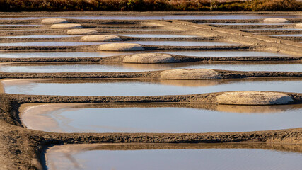 Marais salant sur l'île de Noirmoutier