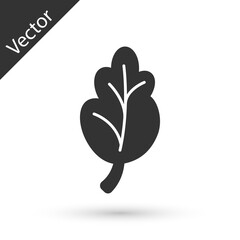 Grey Korean food kimchi, cabbage icon isolated on white background. Vector