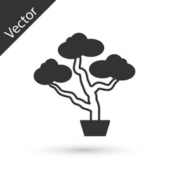 Grey Japanese bonsai tree icon isolated on white background. Japanese culture, horticulture, olericulture hobby concept. Vector