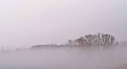 Fototapeta premium fog on the river