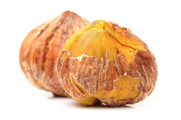 Sweet chestnut on white background