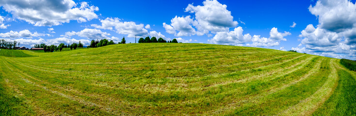 nice field - landscape