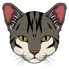 Cat head vector illustration