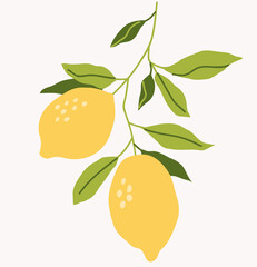 Decorative yellow lemons fruit with green leaves isolated on gray. Tropical fruit icon design. Vector stock illustration.	