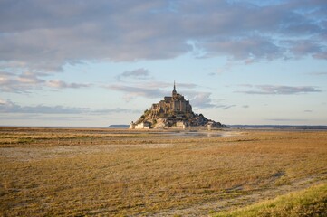Fototapeta premium salty meadow in winter with Mont saint michel in the background