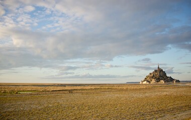 Fototapeta premium salty meadow in winter with Mont saint michel in the background on the right side