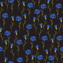 Simple Cornflower wild flowers floral seamless pattern on a black background. 