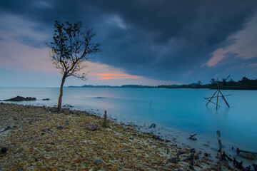 Beauty sunrise  rock and mangrove tree   in batam island