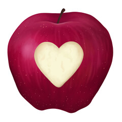 Digital illustration. A whole red apple with a cut out heart shape. Ripe fruit from the garden. Isolated on a white background.