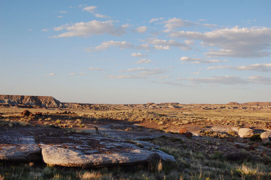 The spectacular scenery of the Petrified Forest National Park, in Apache County, northeastern Arizona.