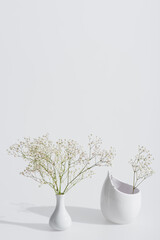 branches with blossoming flowers in vases on white background