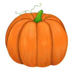 Orange pumpkin. Decorations for the holiday of Halloween. Digital illustration isolated on a white background.