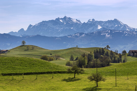 Drumlin hills with trees with the famous Alps Saentis Peak at the background