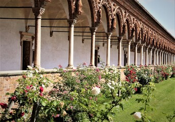 Certosa di Pavia