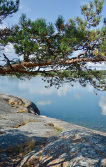 Rock and tree